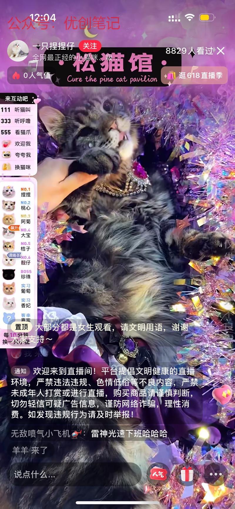 年轻人云养猫必备地 非…#情报-搞钱线报📢论坛-网创交流-优创圈